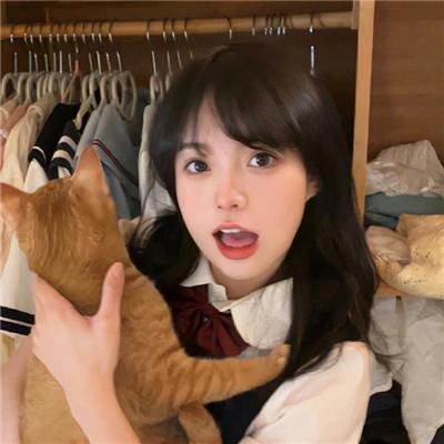 上有老